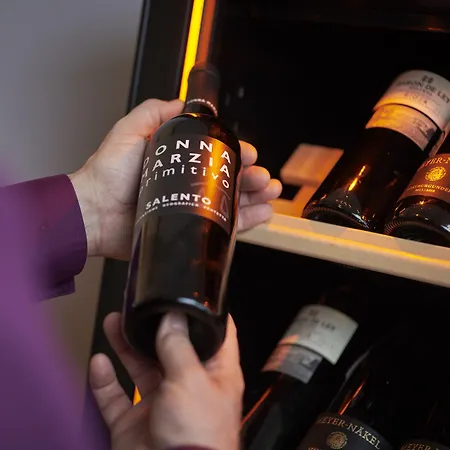 ジ－シュロス セ－リン ホテル ホテル