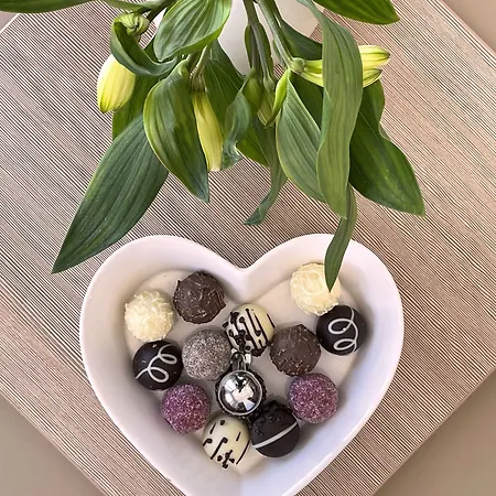 ホテル ジ－シュロス セ－リン ホテル ゼリン