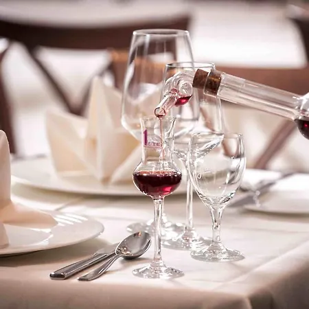 ジ－シュロス セ－リン ホテル 4*