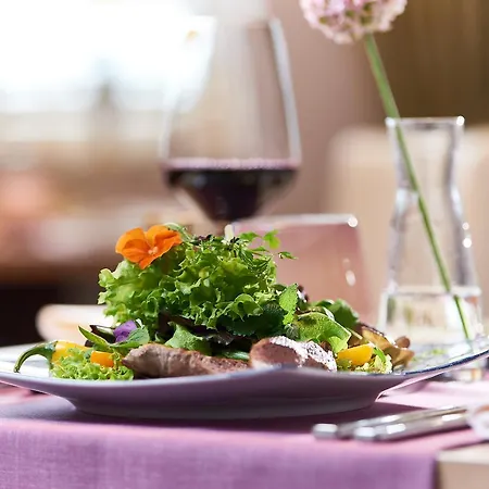 ジ－シュロス セ－リン ホテル ホテル ゼリン