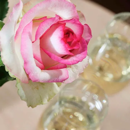 ジ－シュロス セ－リン ホテル ゼリン